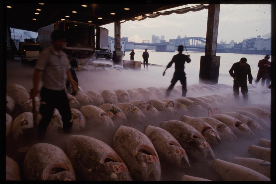 Tsukiji Fishmarket, Tokyo, 1986