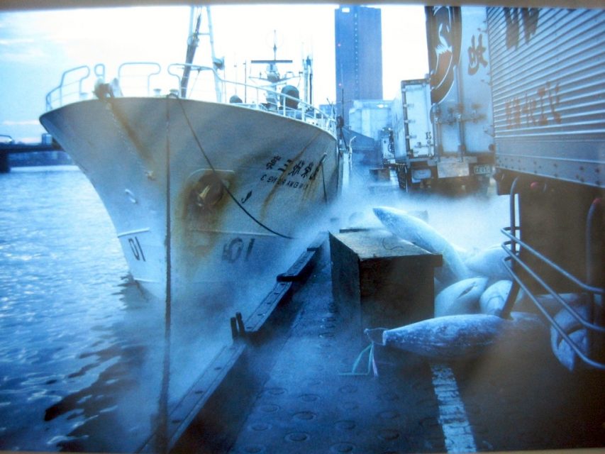 Tsukiji Fishmarket, Tokyo, 1986