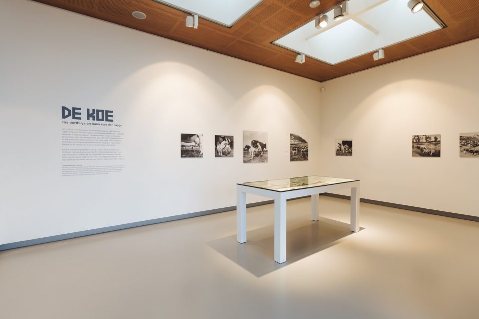 Hans van der Meer, 'De Koe', Fries Museum, 26.03 - 05.06-2016