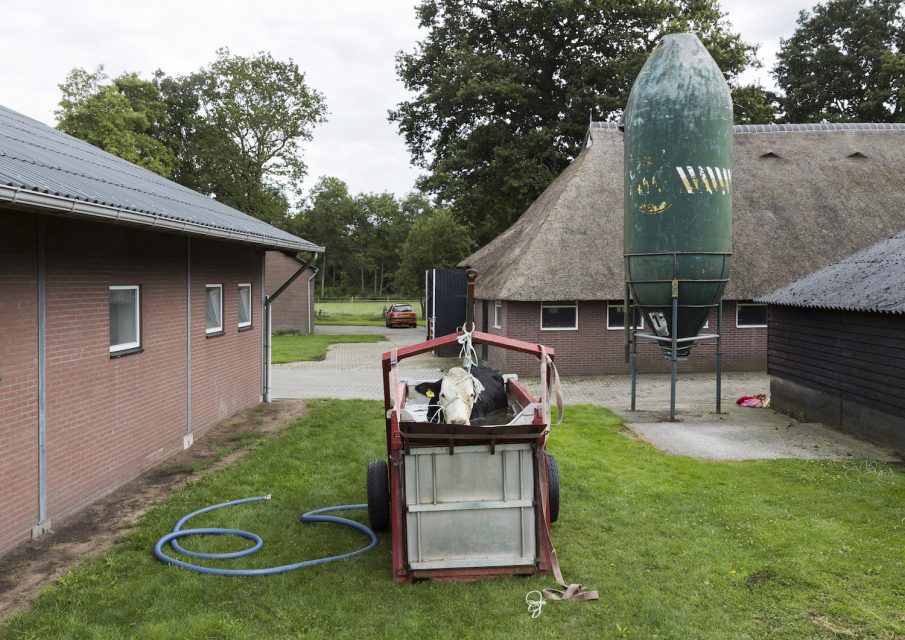 Cow bath, Dalfsen (2015)