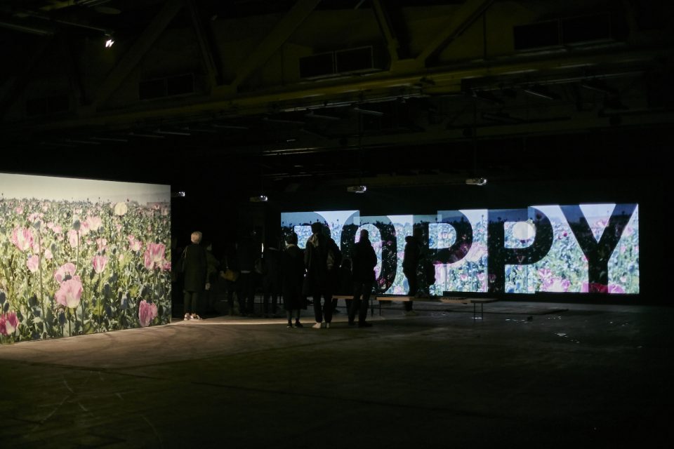 Poppy at Fotofestiwal Warsaw, June 2016