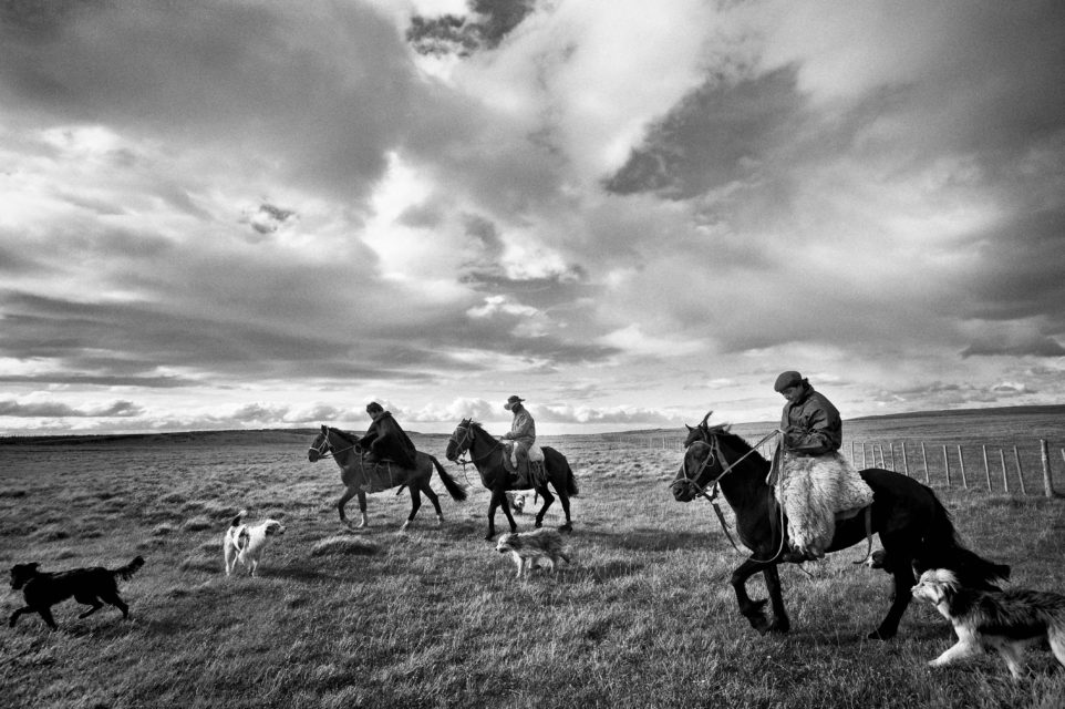 Print 1
'Sheep boys' at Estanncia Cameron in Tierra del Fuego.
Until two years ago the estancia was a cooperative, measaring 96,000 ha. The economic situation of the farm was detirrating so the farm was sold. The new onwner has doubled the sheeps to 50,000.