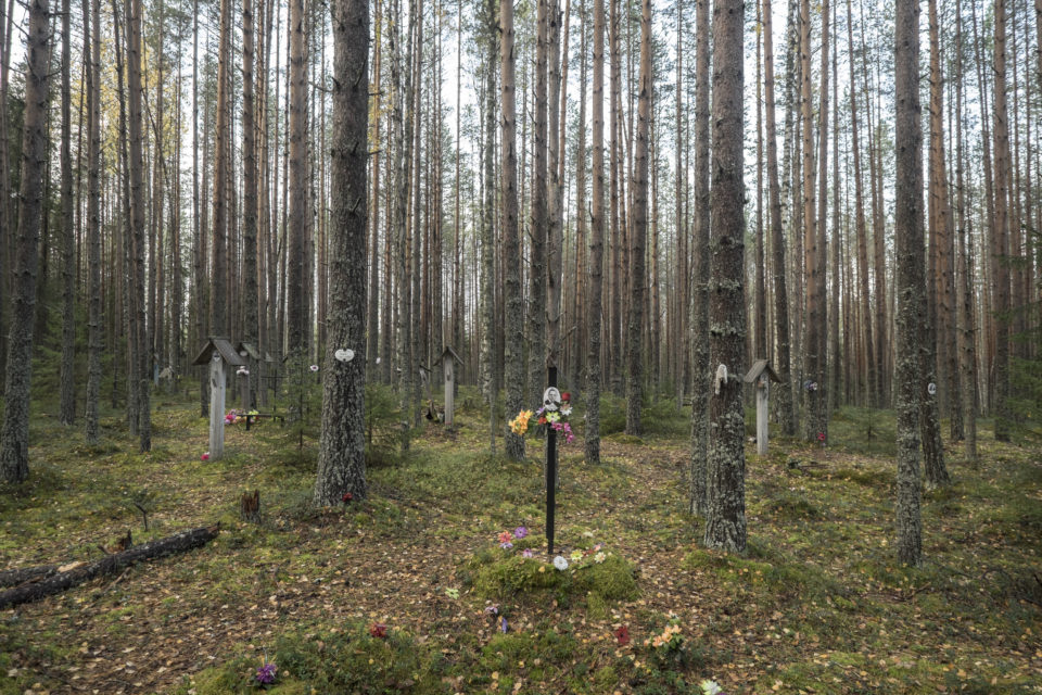 In 1997 more than nine thousand bodies were discovered in the woods near the White Sea Canal. Memorial established a cemetery on the site. 